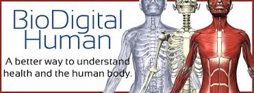 biodigital human website Logo
